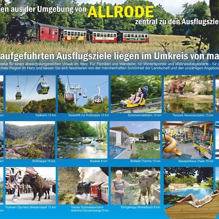 Ferienanlage Harzfreunde Allrode Zewnętrze zdjęcie